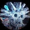 hyveechecker